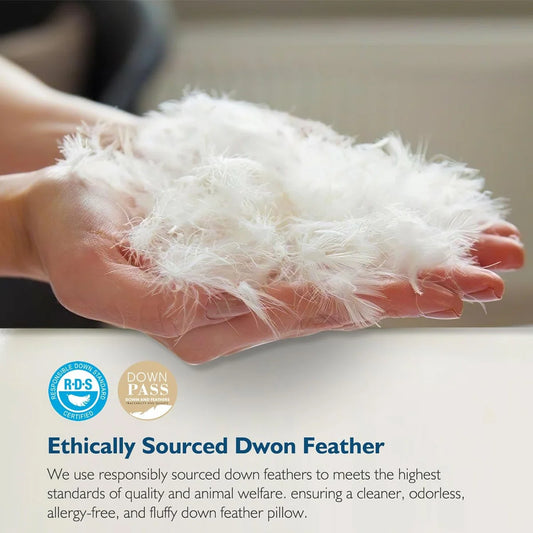 Xavier 100% Organic Cotton Soft-Medium Support Feather Down Pillows Set of 2 (Set of 2)